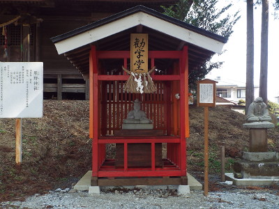 �V�_���̎ʐ^