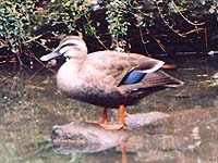 �J���K��