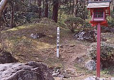 ��i���뉀�̏�i�̎ʐ^