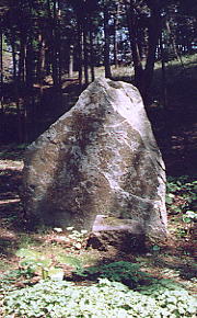 ���ۏ\�l�N�����̐����ȍM�\���{���̎ʐ^