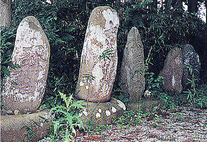 ���{��̎ʐ^