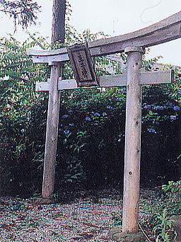 ���_�В����̎ʐ^