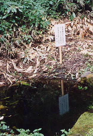 天神社の裏の硯が池の写真