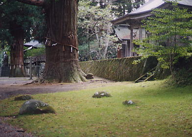 �������O�Ղ̑b�΂̎ʐ^