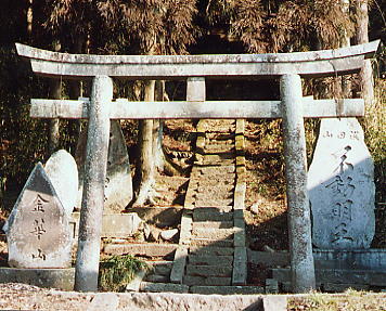 若宮八幡神社鳥居と参道の写真