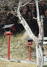 �Î}�̔~�̖��c���`����Q���̔~�̎ʐ^